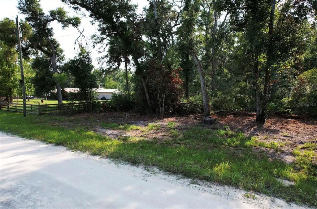 A dirt road runs alongside a wooded, undeveloped lot with a house visible in the background — NE 497TH STREET, OLD TOWN, FL