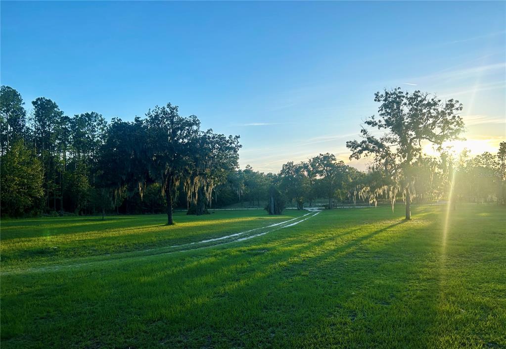 A grassy field with scattered trees and a dirt path under a bright blue sky — 3560 NE 71ST AVENUE, HIGH SPRINGS, FL