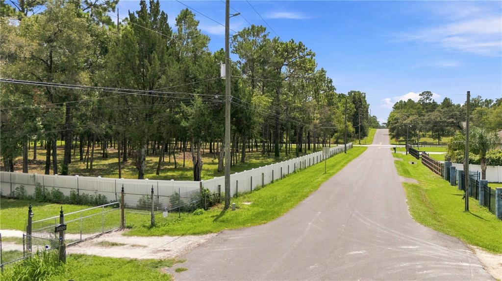 A paved road runs past a fenced, wooded lot under a bright blue sky — 0 HIGHGROVE ROAD, SPRING HILL, FL