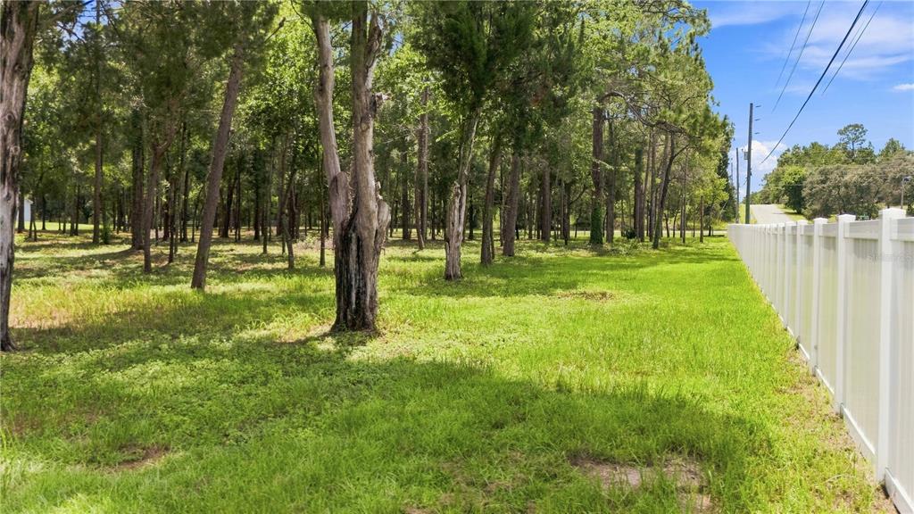 A grassy, wooded lot sits beside a white vinyl privacy fence under a blue sky — 0 HIGHGROVE ROAD, SPRING HILL, FL