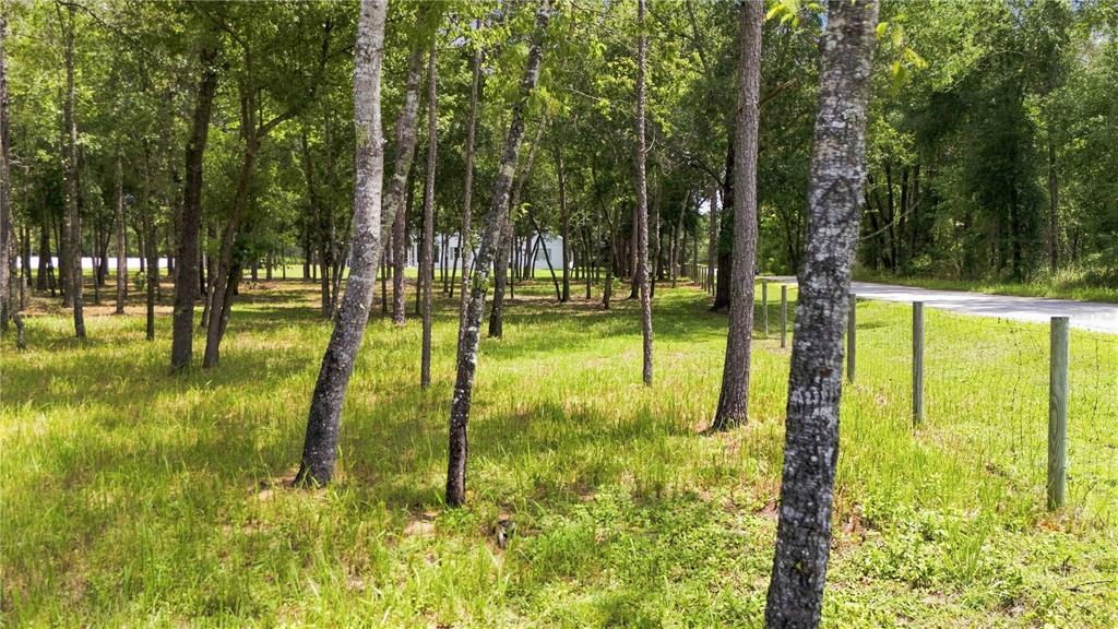 A grassy, wooded lot features a wire fence running alongside a paved road — 0 HIGHGROVE ROAD, SPRING HILL, FL