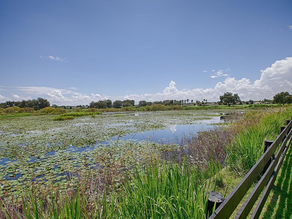 A wooden fence borders a pond covered in lily pads under a blue sky — 622 MAYBANK LOOP, THE VILLAGES, FL