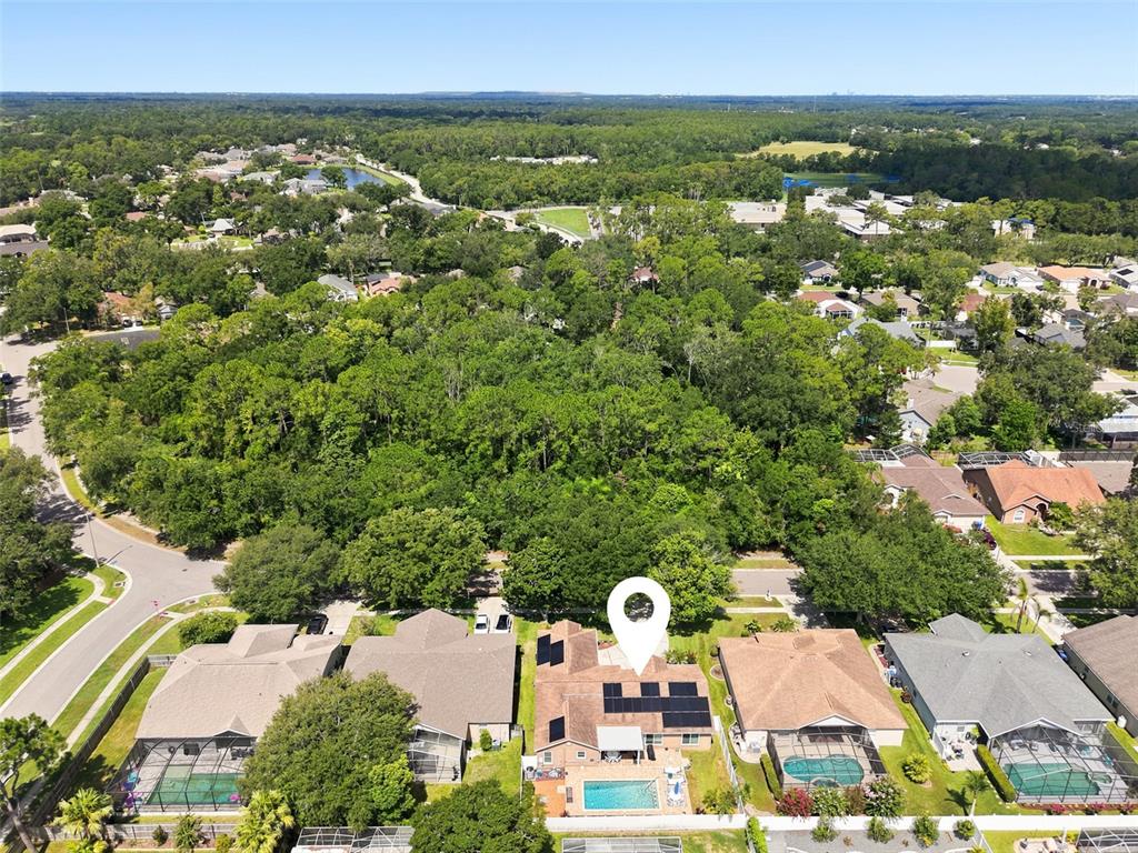 A dining area with a black table and chairs sits adjacent to an open kitchen — 3720 TREELINE DRIVE, VALRICO, FL