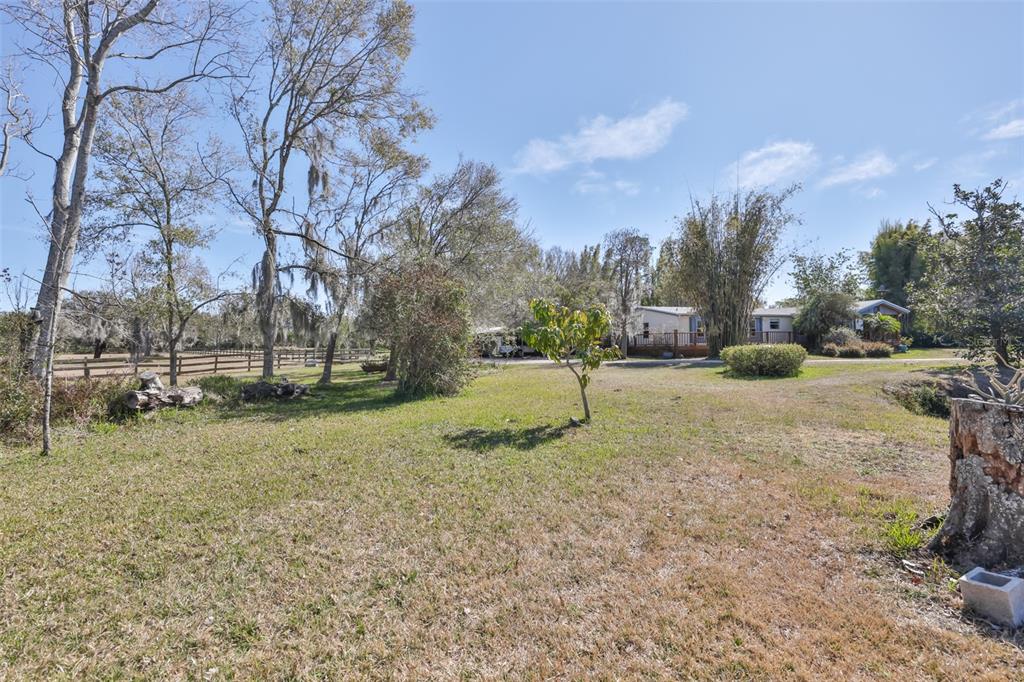 A grassy yard features a small tree, a tree stump, and a house in the distance — 20112 HOBBS ROAD, WIMAUMA, FL