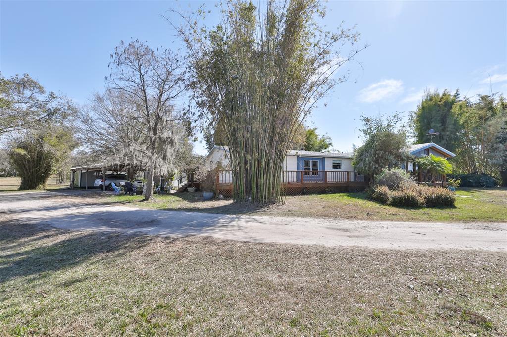 A single-story house with a wooden deck and large bamboo stands on a grassy lot — 20112 HOBBS ROAD, WIMAUMA, FL