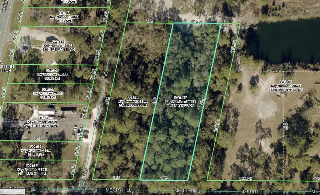 MERRYHILL DRIVE, WEBSTER, FL — photo 2 of 5