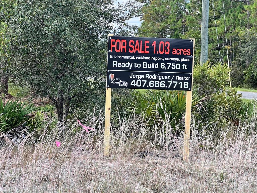 DALLAS BOULEVARD, ORLANDO, FL — photo 5 of 11