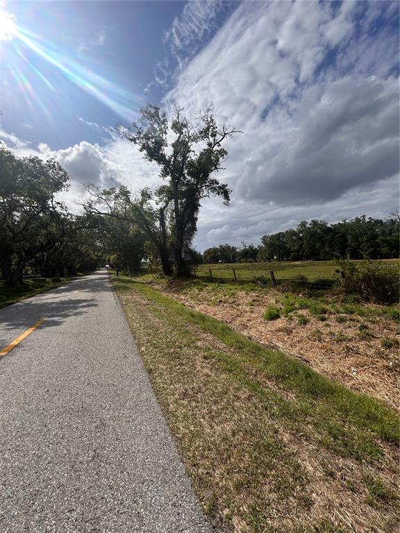A paved road runs alongside a grassy field with a large tree and wire fence — WASHINGTON STREET, ARCADIA, FL