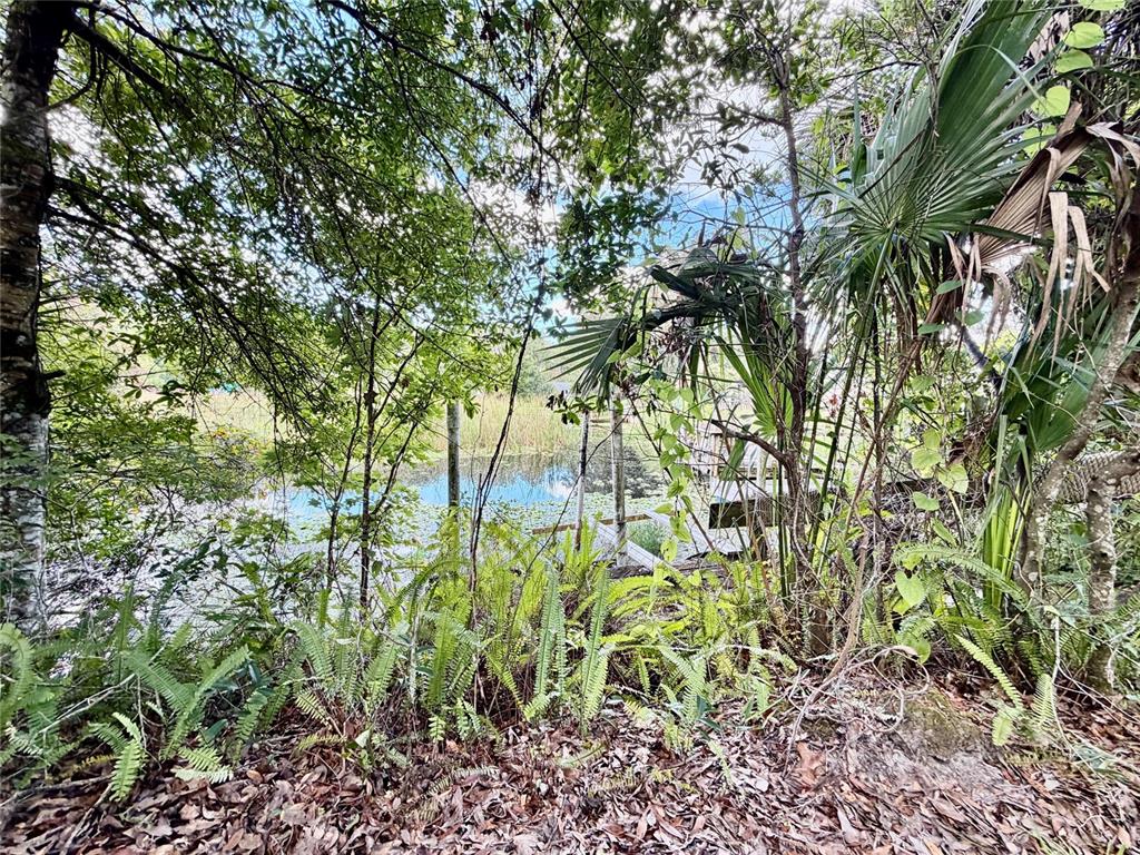 6464 ARBUTUS AVENUE, WEEKI WACHEE, FL — photo 3 of 21