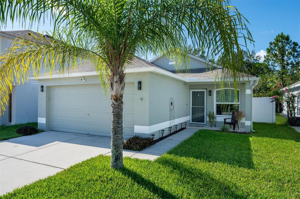 30516 BIRDHOUSE DRIVE, WESLEY CHAPEL, FL — photo 2 of 28