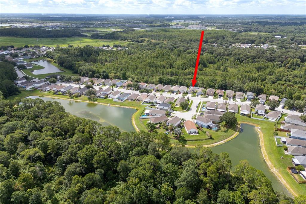 30516 BIRDHOUSE DRIVE, WESLEY CHAPEL, FL — photo 5 of 28