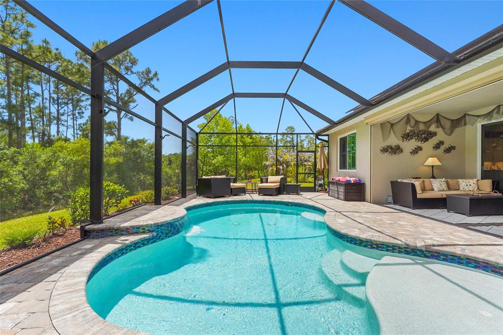 A swimming pool with a water feature sits inside a screened lanai with paver decking — 617 MISTIFLOWER CIRCLE, NOKOMIS, FL