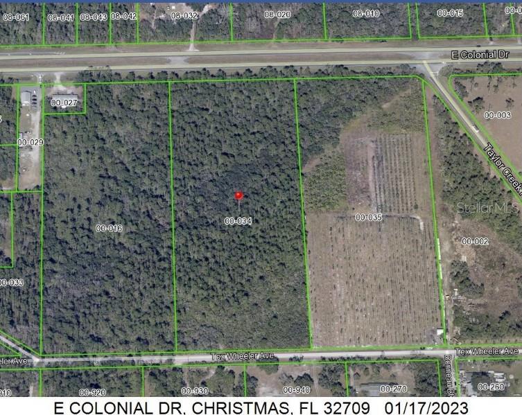 This is an aerial map showing a wooded land parcel marked with a red pin — E COLONIAL DRIVE, CHRISTMAS, FL