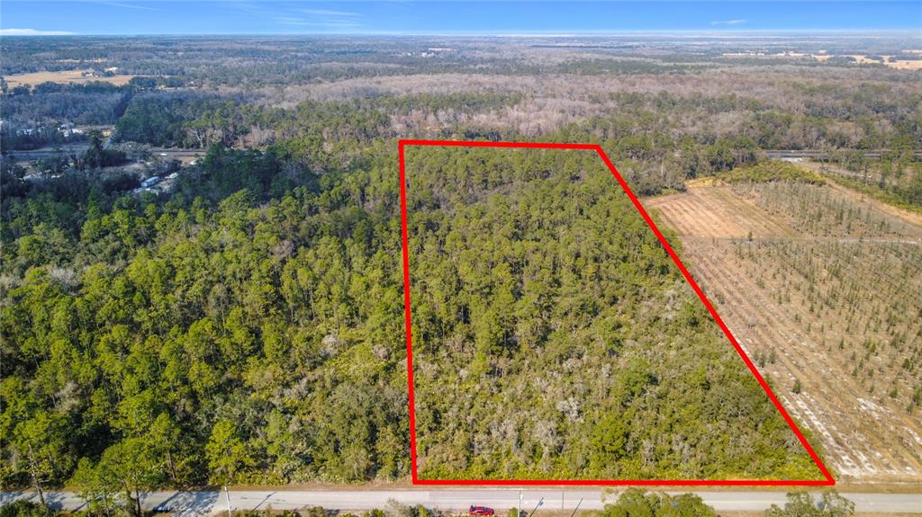 An aerial view shows a rectangular plot of wooded land outlined in red along a road — E COLONIAL DRIVE, CHRISTMAS, FL