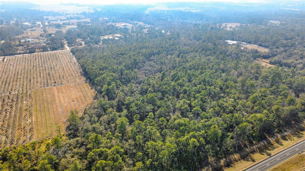 An aerial view shows a large wooded lot adjacent to a field and a highway — E COLONIAL DRIVE, CHRISTMAS, FL
