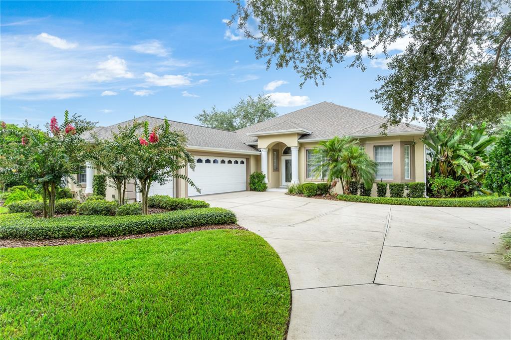 6106 SPINNAKER LOOP