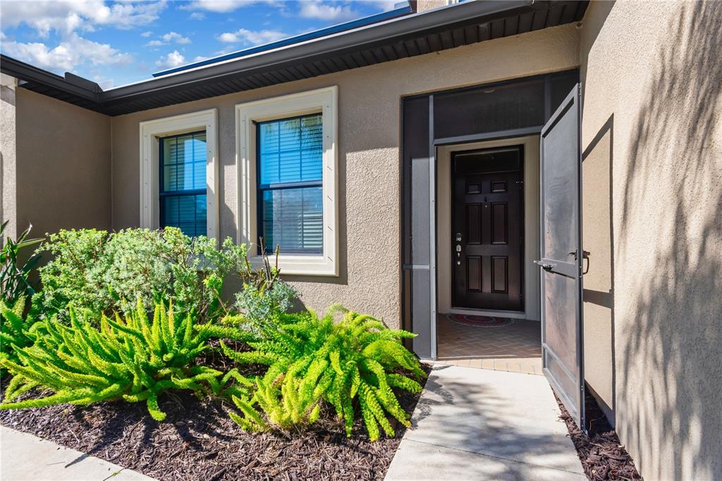 11603 SUNBURST MARBLE ROAD, RIVERVIEW, FL — photo 3 of 54