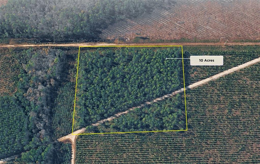 An aerial view shows a rectangular 10-acre plot of wooded land bordered by dirt roads — HIGHWAY 17S, GREEN COVE SPRINGS, FL