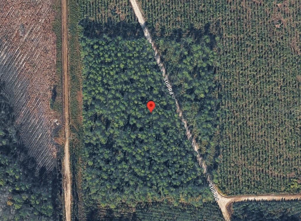 This aerial map view shows a wooded lot bordered by a dirt road — HIGHWAY 17S, GREEN COVE SPRINGS, FL