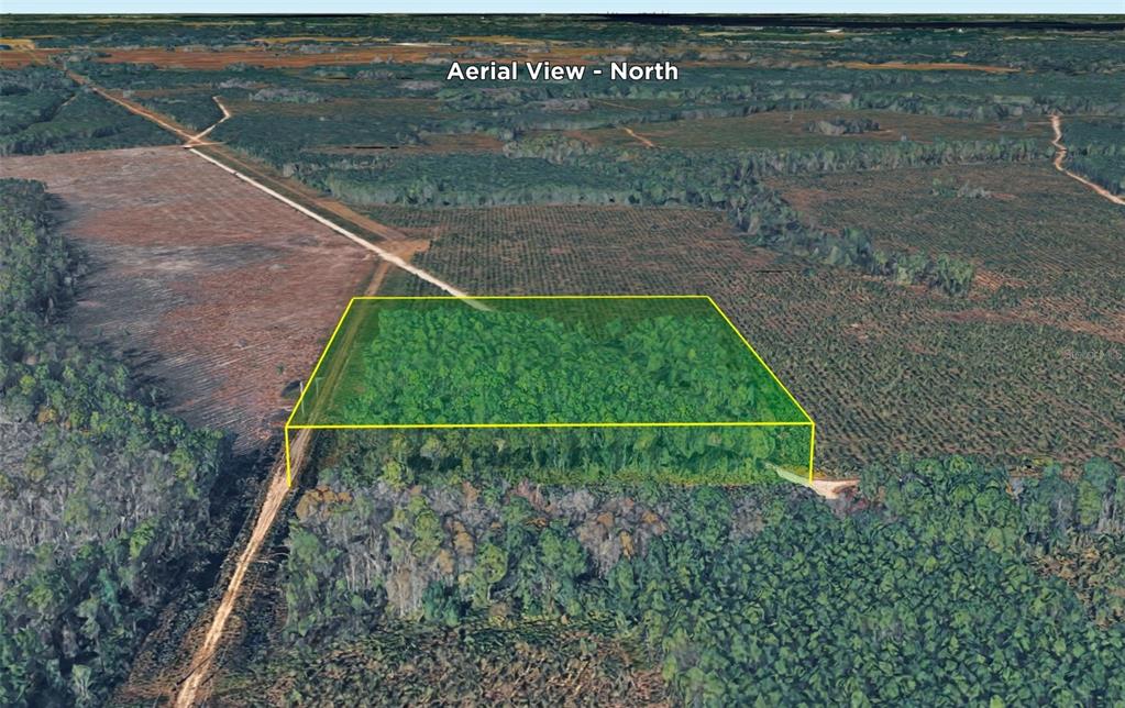 An aerial view shows a rectangular plot of forested land highlighted with a yellow border — HIGHWAY 17S, GREEN COVE SPRINGS, FL