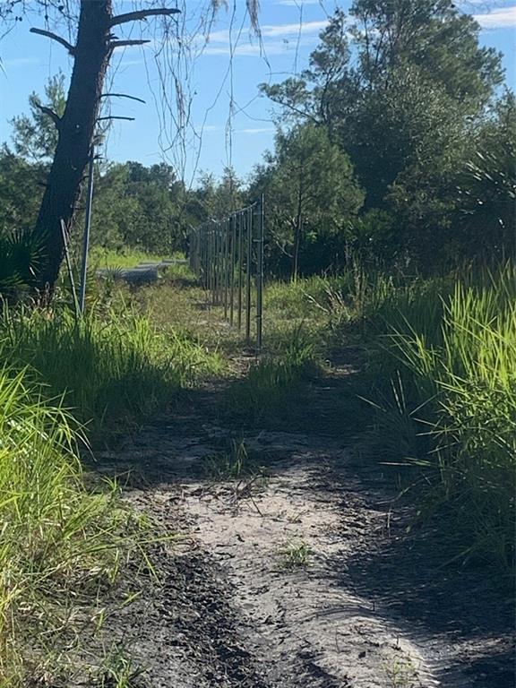 A dirt path leads through a grassy area toward a chain-link fence and trees — 2701 METRO DRIVE, RUSKIN, FL