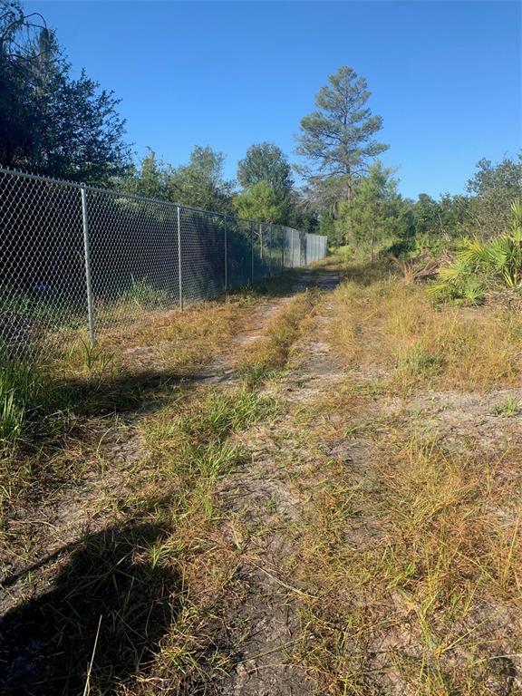 A chain-link fence runs along a dirt path through a grassy, wooded area — 2701 METRO DRIVE, RUSKIN, FL
