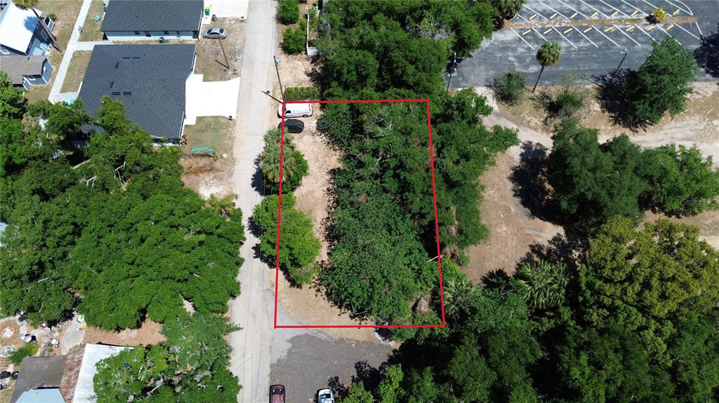 An aerial view shows a rectangular, tree-covered vacant lot outlined in red next to a road — DEWITT COURT, EUSTIS, FL