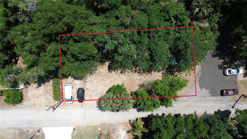 An aerial view shows a rectangular plot of land outlined in red with trees — DEWITT COURT, EUSTIS, FL