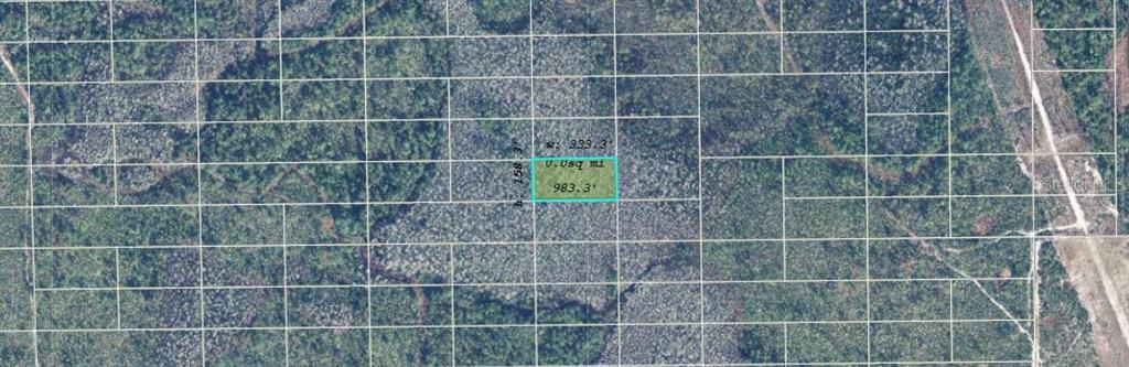 This is an aerial map showing a highlighted rectangular plot of land with dimensions — DILL ROAD, ORLANDO, FL