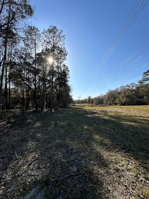 A grassy lot features a line of tall trees and overhead power lines under a sky — TBD NE 151 LANE, FORT MC COY, FL