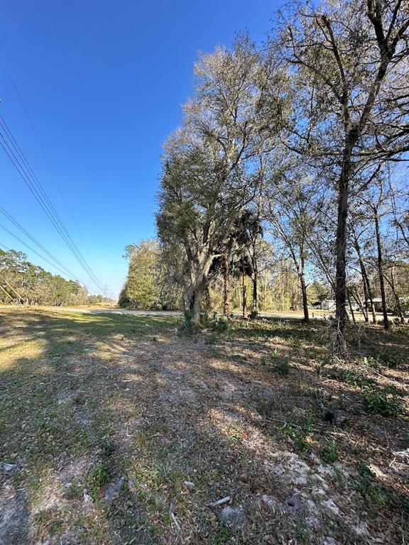 A view of a grassy, wooded lot with power lines visible in the distance — TBD NE 151 LANE, FORT MC COY, FL
