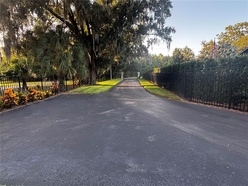 A paved driveway leads toward a gated entrance flanked by large trees and metal fencing — 20902 RAGAN LANE, LAND O LAKES, FL