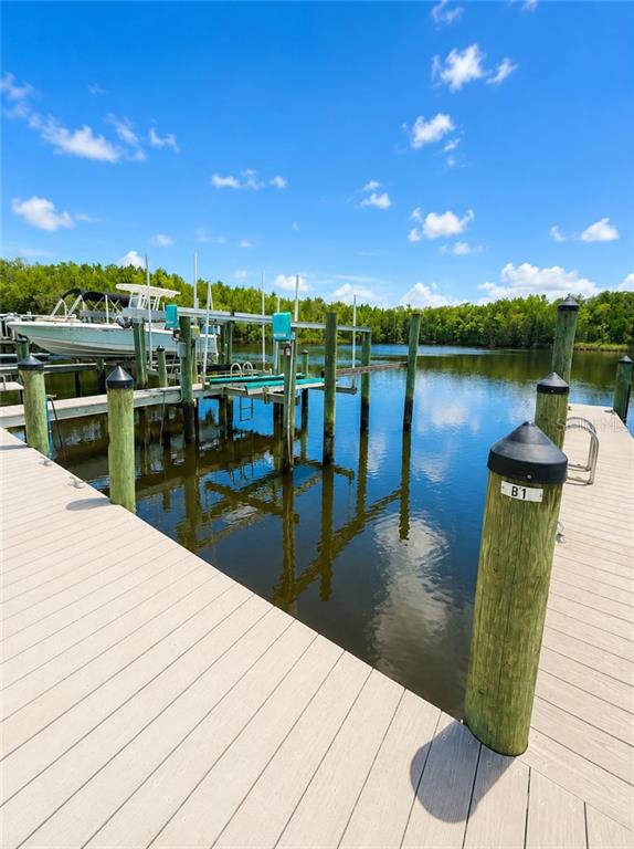 11122 W Cove Harbor DRIVE, CRYSTAL RIVER, FL — photo 4 of 30