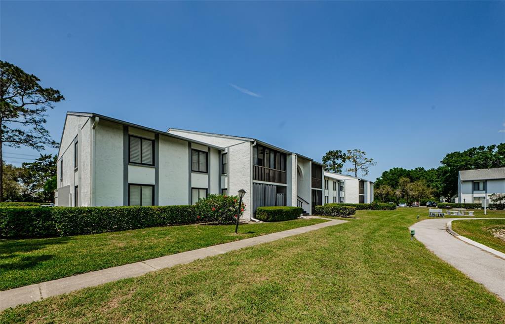 A two-story white apartment building with dark trim sits behind a manicured lawn and sidewalk — 1151 PINE RIDGE CIRCLE W UNIT F1, TARPON SPRINGS, FL