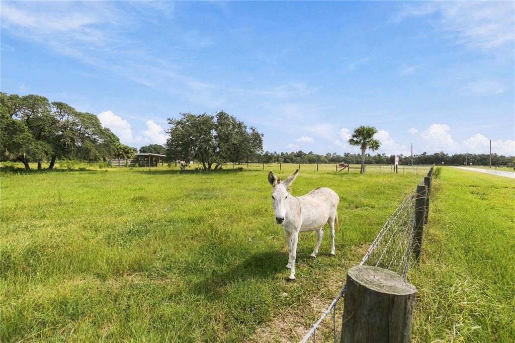 RANCH ROAD, ASTATULA, FL — photo 3 of 16