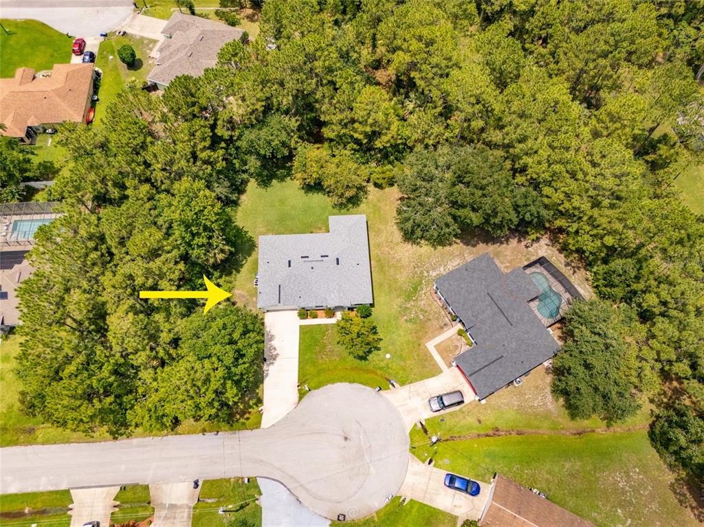 An aerial view shows two houses with driveways and swimming pools surrounded by dense trees — 19 BURREL PLACE, PALM COAST, FL