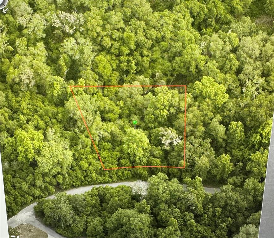 An aerial view shows a wooded lot outlined in red with a green location marker — 6761 E DOGWOOD HAMMOCK DRIVE, INVERNESS, FL