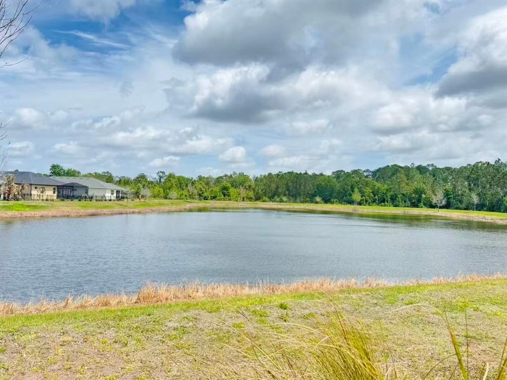 A view of a pond with houses on the left and trees in the background — 3434 SAGEBRUSH STREET, HARMONY, FL