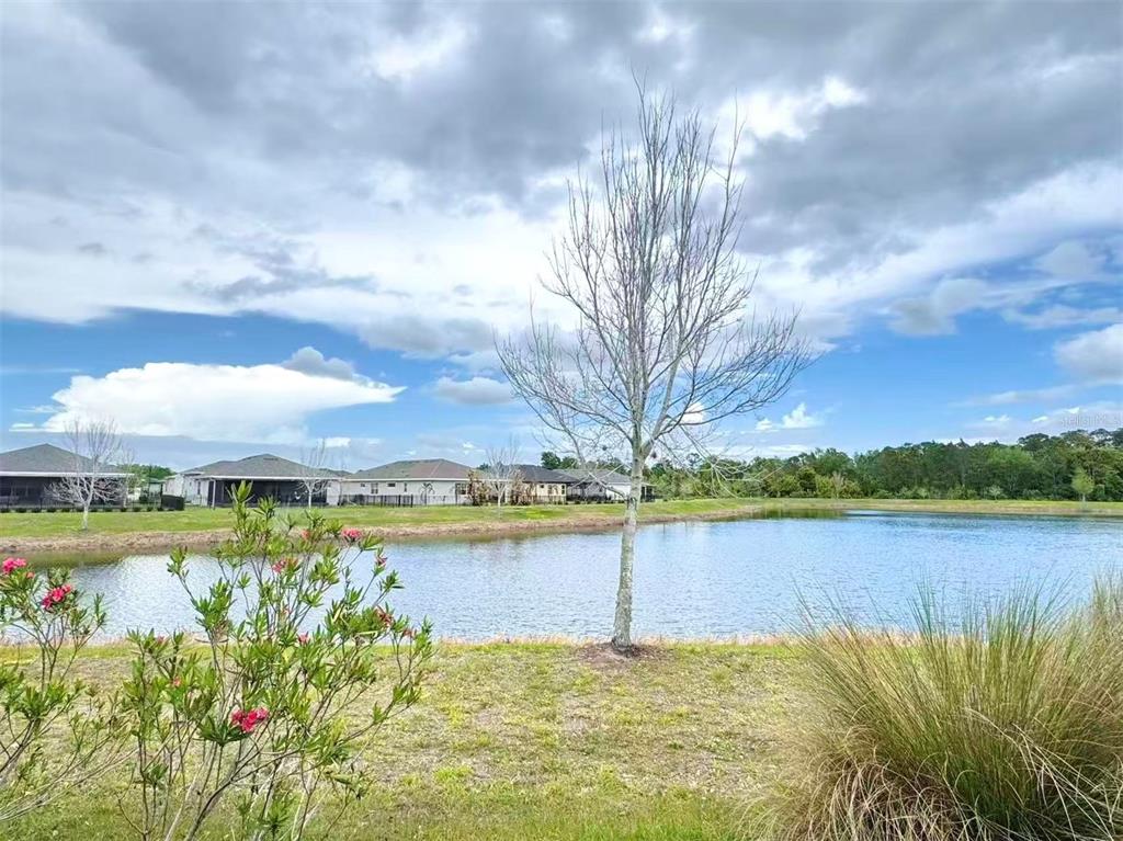 A view of a pond with a bare tree in the foreground and houses behind — 3434 SAGEBRUSH STREET, HARMONY, FL