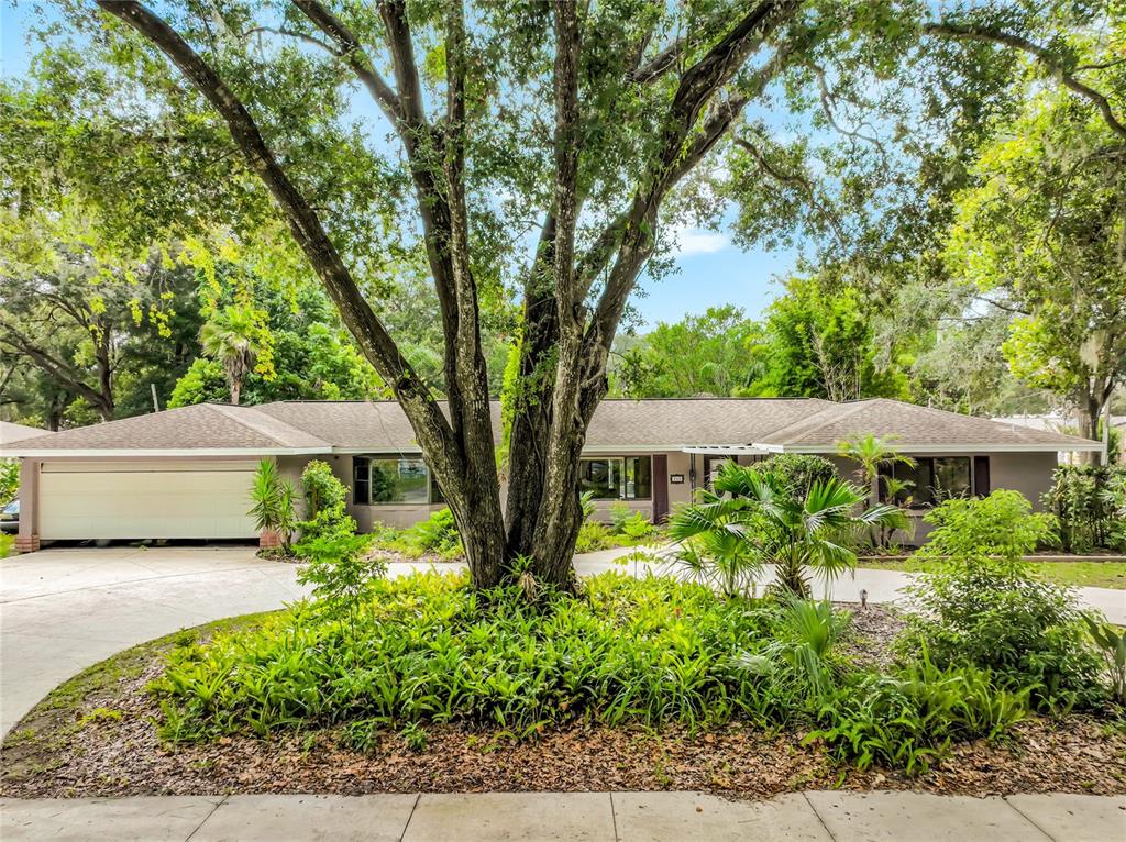 A single-story house with a two-car garage and a large tree in the front yard — 300 PINECREST ROAD, MOUNT DORA, FL