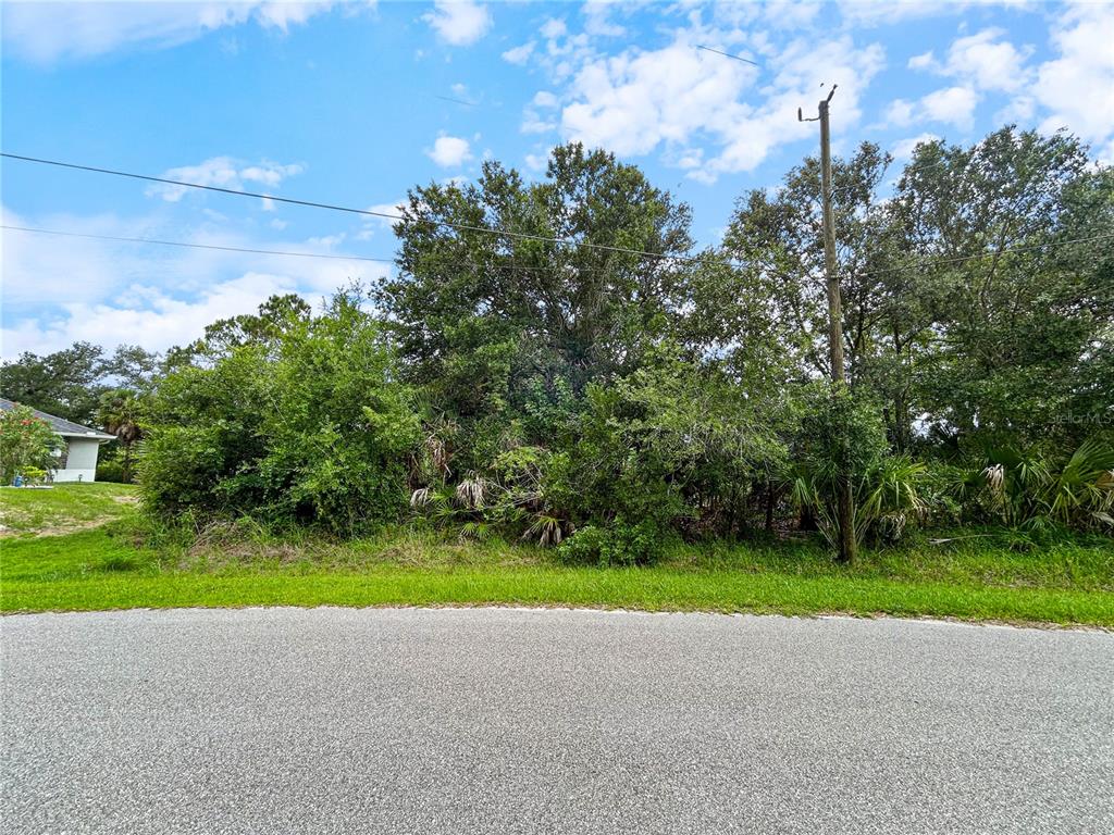 A view of a vacant, wooded residential lot from the street — ANCIENT ROAD, NORTH PORT, FL