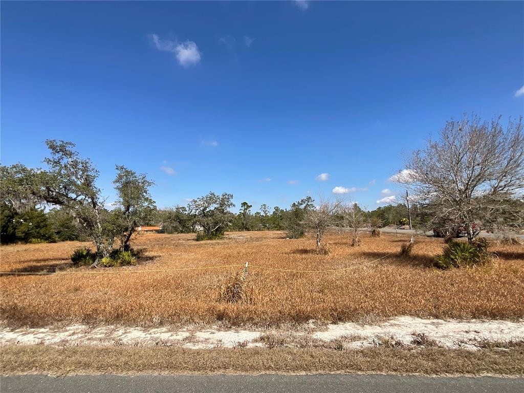 A vacant, grassy lot with scattered trees under a clear blue sky — 490 HOBBS DRIVE, VENUS, FL