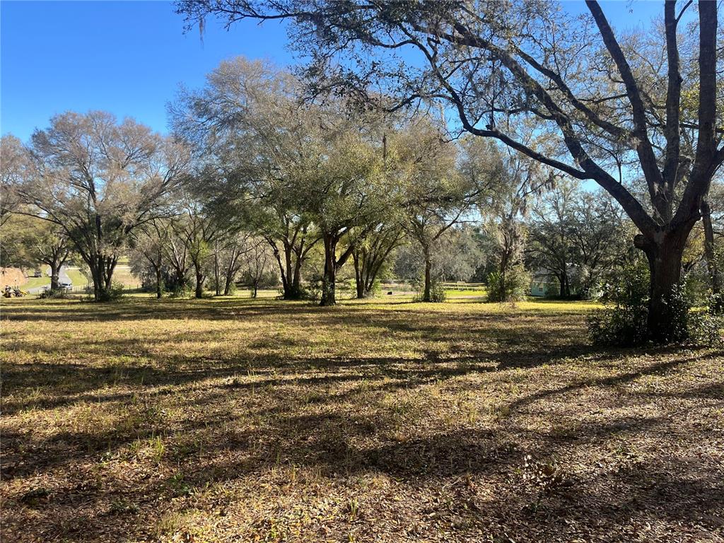 A grassy, sunlit lot features numerous large, mature oak trees under a clear blue sky — 000 SE 118TH LANE, BELLEVIEW, FL