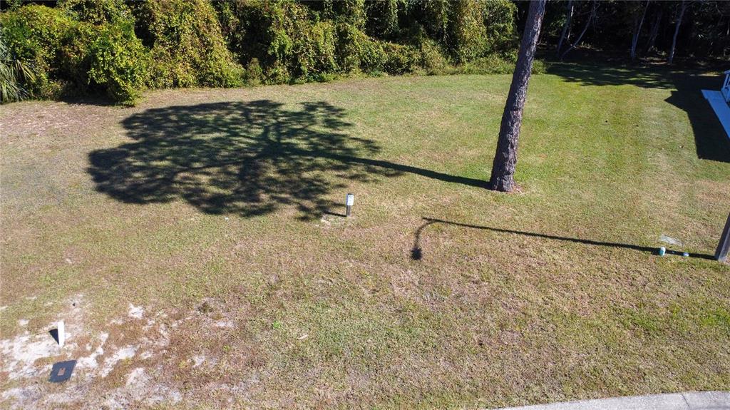 An aerial view shows a grassy residential lot with a single tree and its shadow — FOREST GLENN DRIVE, SPRING HILL, FL