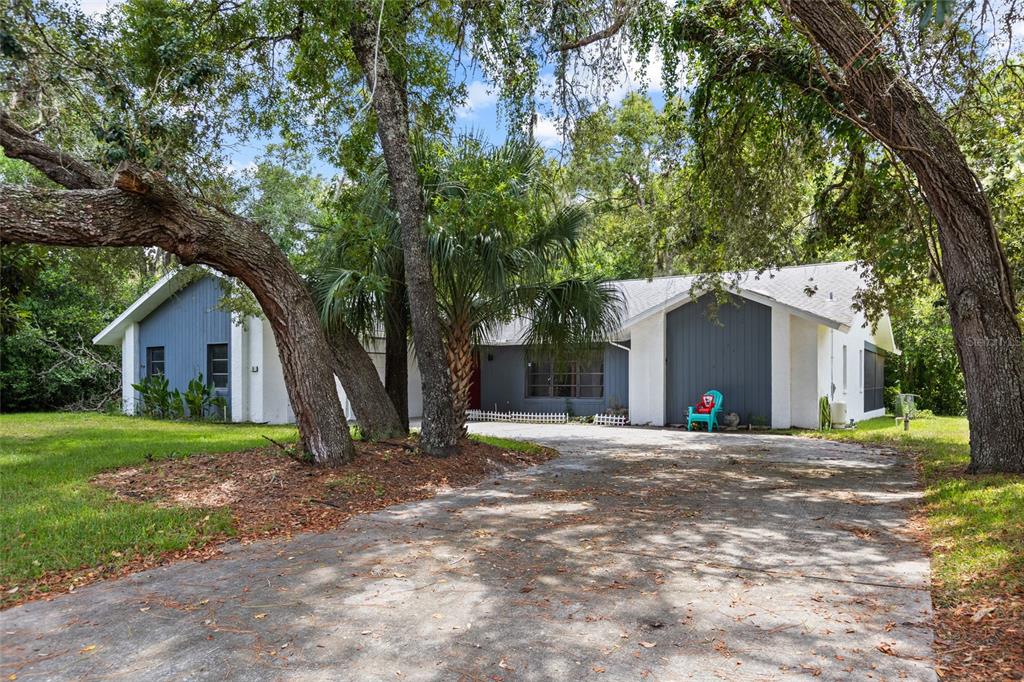 A single-story house with blue siding and a concrete driveway surrounded by large trees — 19 HOLLYHOCK COURT, HOMOSASSA, FL
