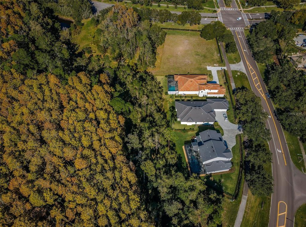 Aerial view showing three houses situated next to a large wooded area and a road — 4390 TARPON LAKE BOULEVARD, PALM HARBOR, FL