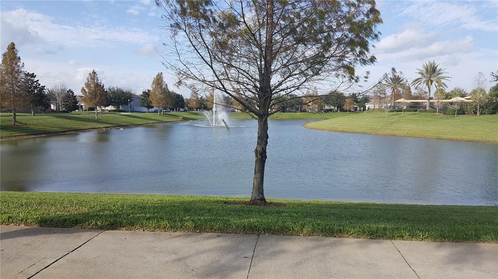 13314 ROXBORO ROAD, WINDERMERE, FL — photo 4 of 28
