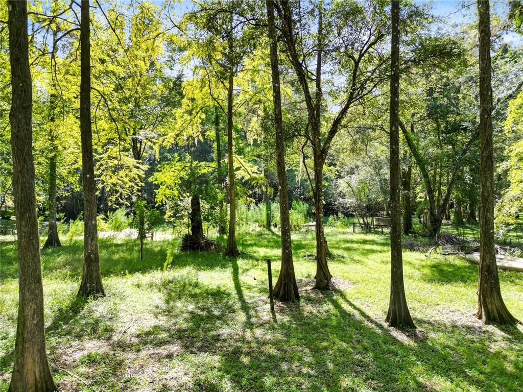 8370 CR 647, BUSHNELL, FL — photo 5 of 30