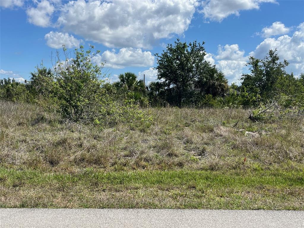 13598 ALLAMANDA CIRCLE