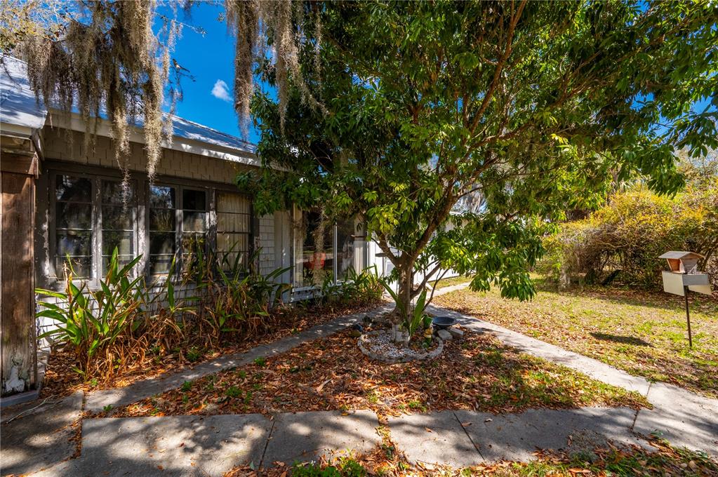 A house exterior with a tree, a concrete walkway, and a birdhouse in the yard — 7754 RIVERSIDE DRIVE, PUNTA GORDA, FL